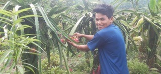 Prakash and Dragon Fruit